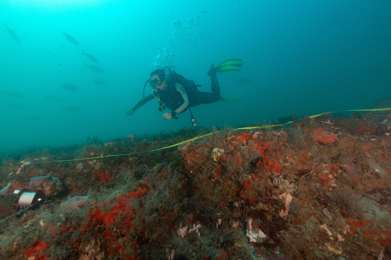 Diving for microbes: journey into a blue hole