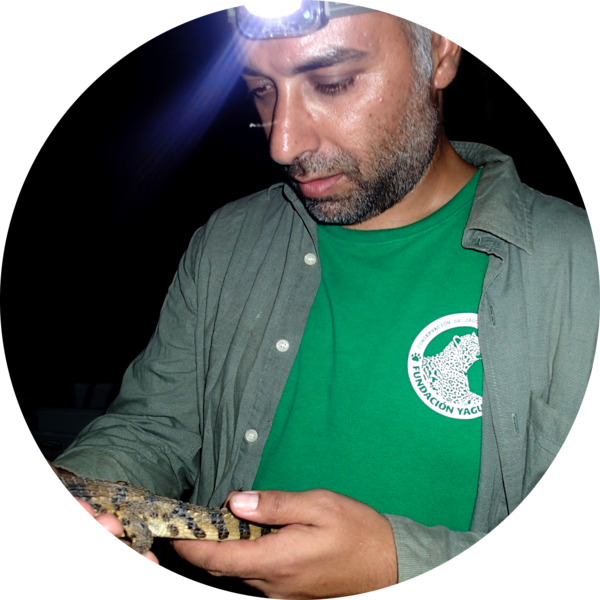 Go to the profile of Nuno Negrões