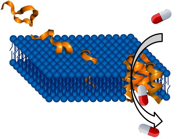 Rationally designing a biomimetic peptide to target tuberculosis bacteria