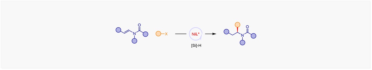 Catalytic asymmetric reductive hydroalkylation of enamides and enecarbamates to chiral aliphatic amines