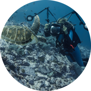 Go to the profile of Sandra Bessudo