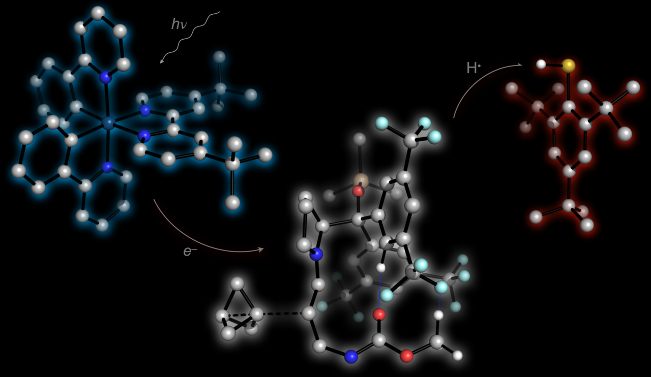 Chiral 3D cages for drug discovery