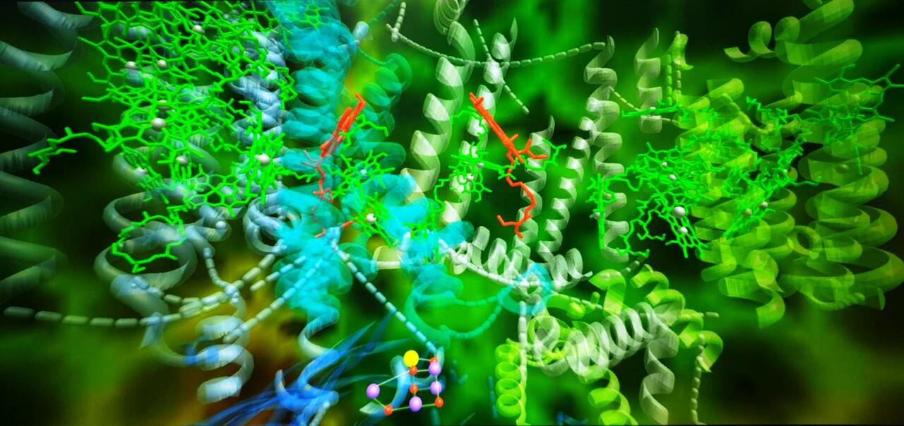 Artificial photosynthesis: fifty-five years of research to colonize space