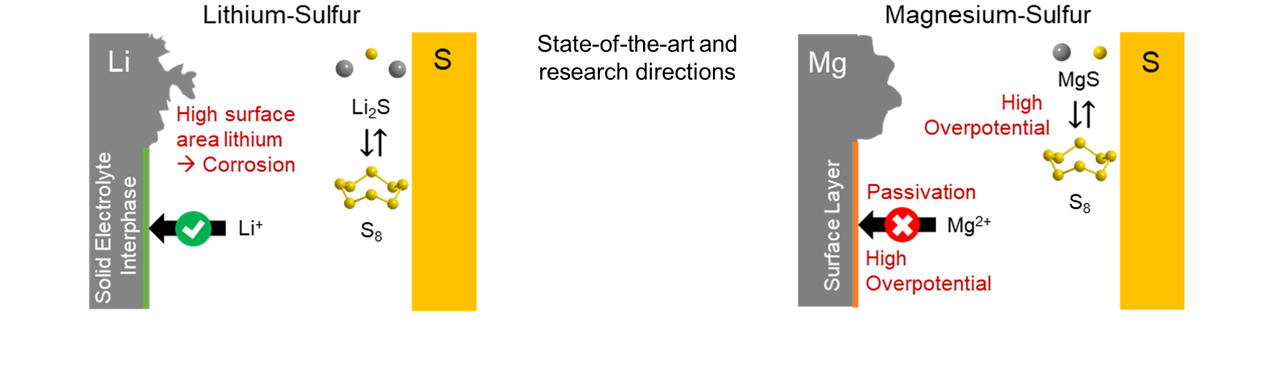 Intrinsic Differences and Realistic Perspectives of Lithium-Sulfur and Magnesium-Sulfur Batteries
