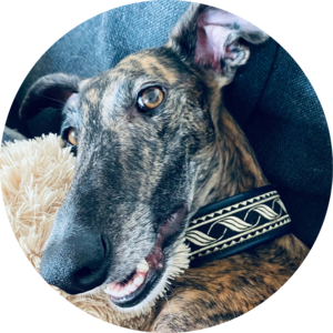 Go to the profile of Dave Johnson