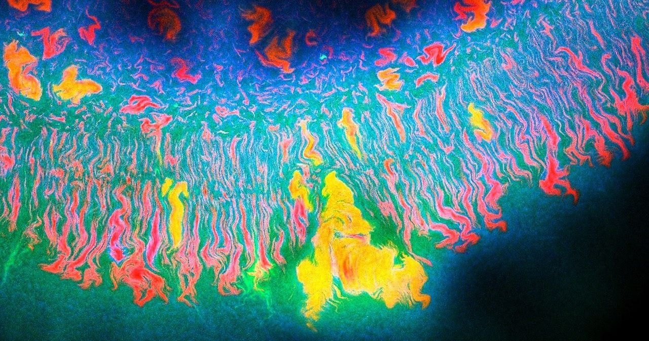 Pattern diversification during microbial spatial self-organization