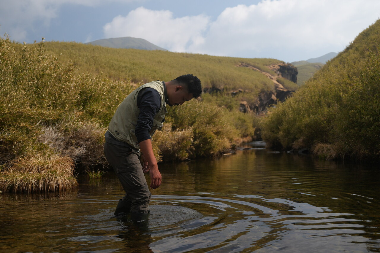 Hello! My name is Thejavitso