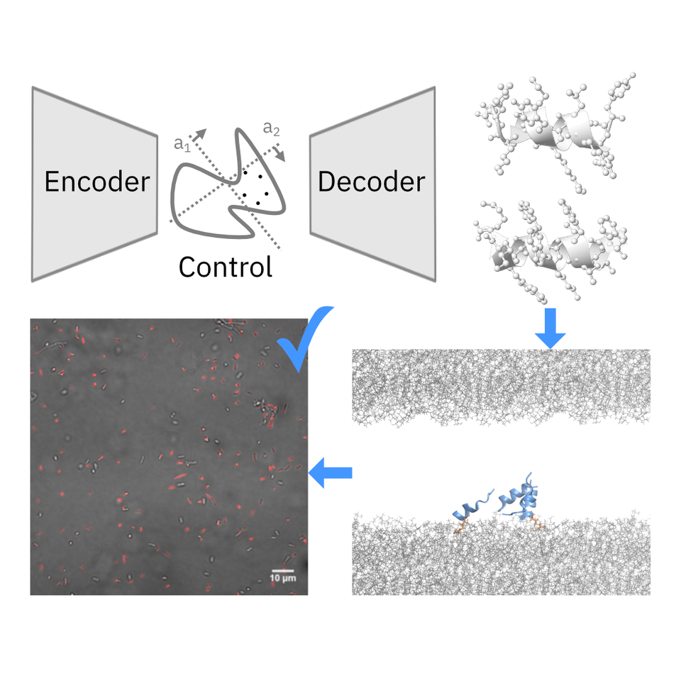 Accelerated Discovery of Novel and Selective Antimicrobials using Artificial Intelligence