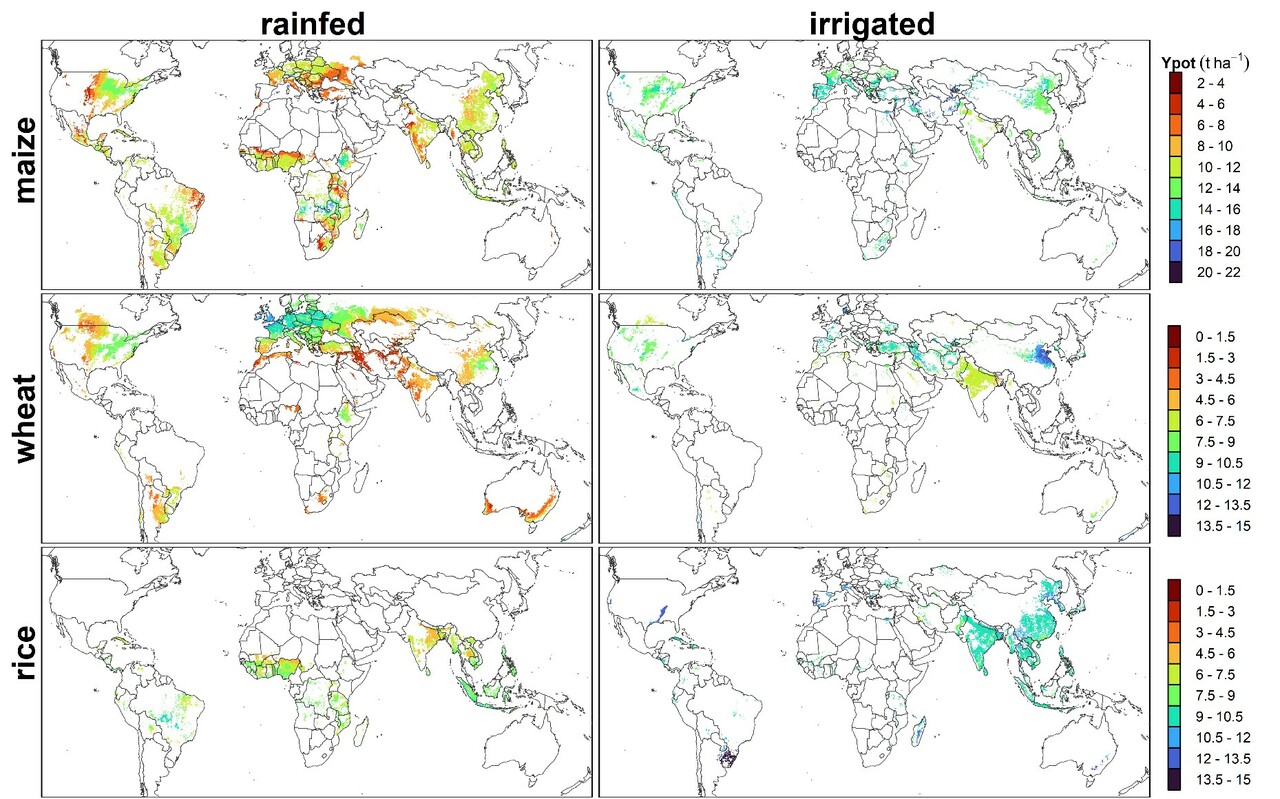 Combining crop modeling and machine learning to help identify opportunities for yield intensification 