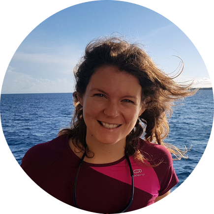 Go to the profile of Sara Kophamel