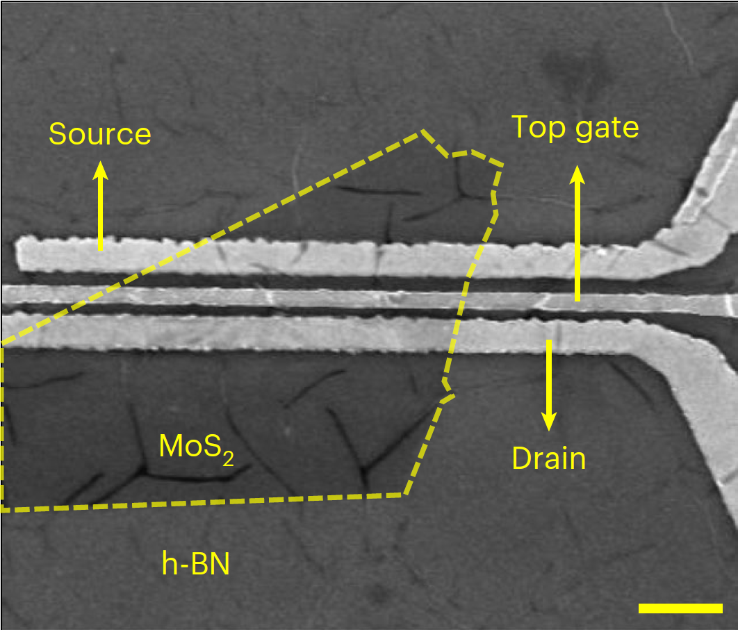 Two-dimensional materials based transistors using hexagonal boron nitride dielectrics and metal gate electrodes with a high cohesive energy 