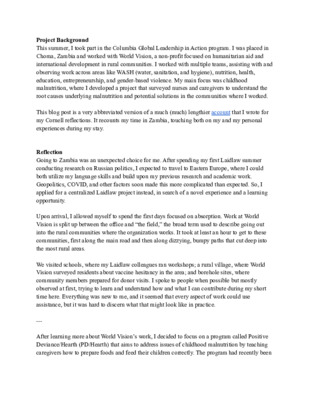 Leadership in Action Zambia Summer '22