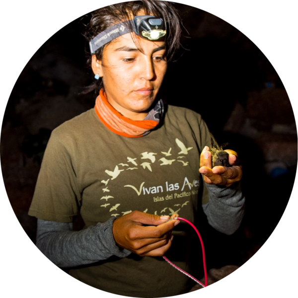 Go to the profile of Esmeralda Bravo