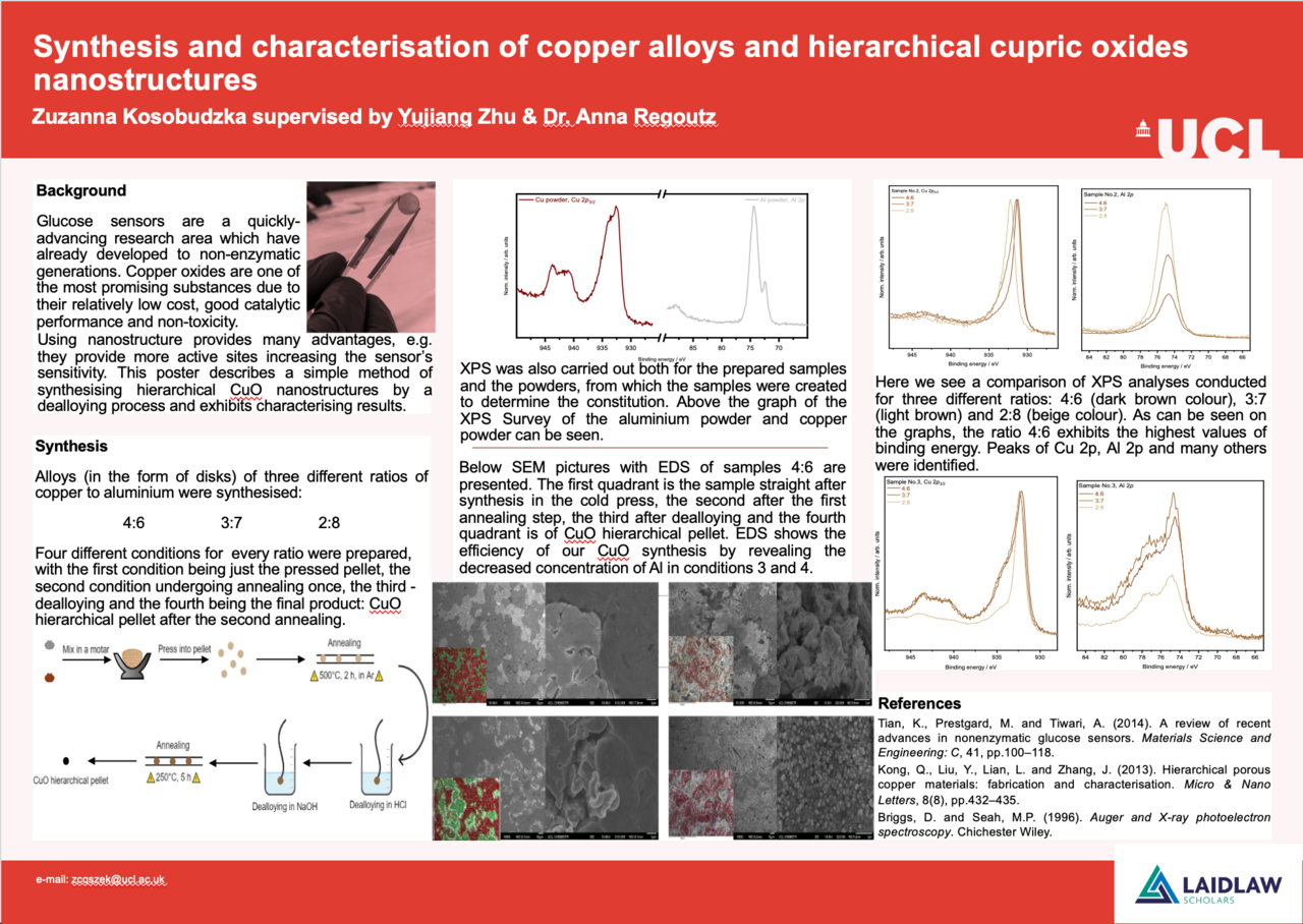 Synthesis and characterisation of copper alloys and hierarchical cupric oxides nanostructures
