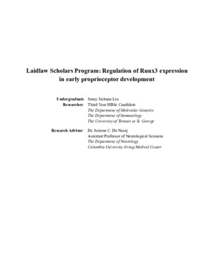 Laidlaw Summer I Report: Regulation of Runx3 expression in early proprioceptor development
