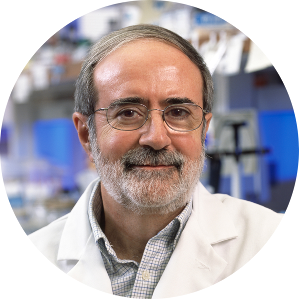 Go to the profile of Roberto Docampo