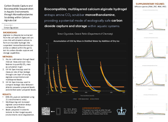 2021 Undergraduate Research Symposium Poster