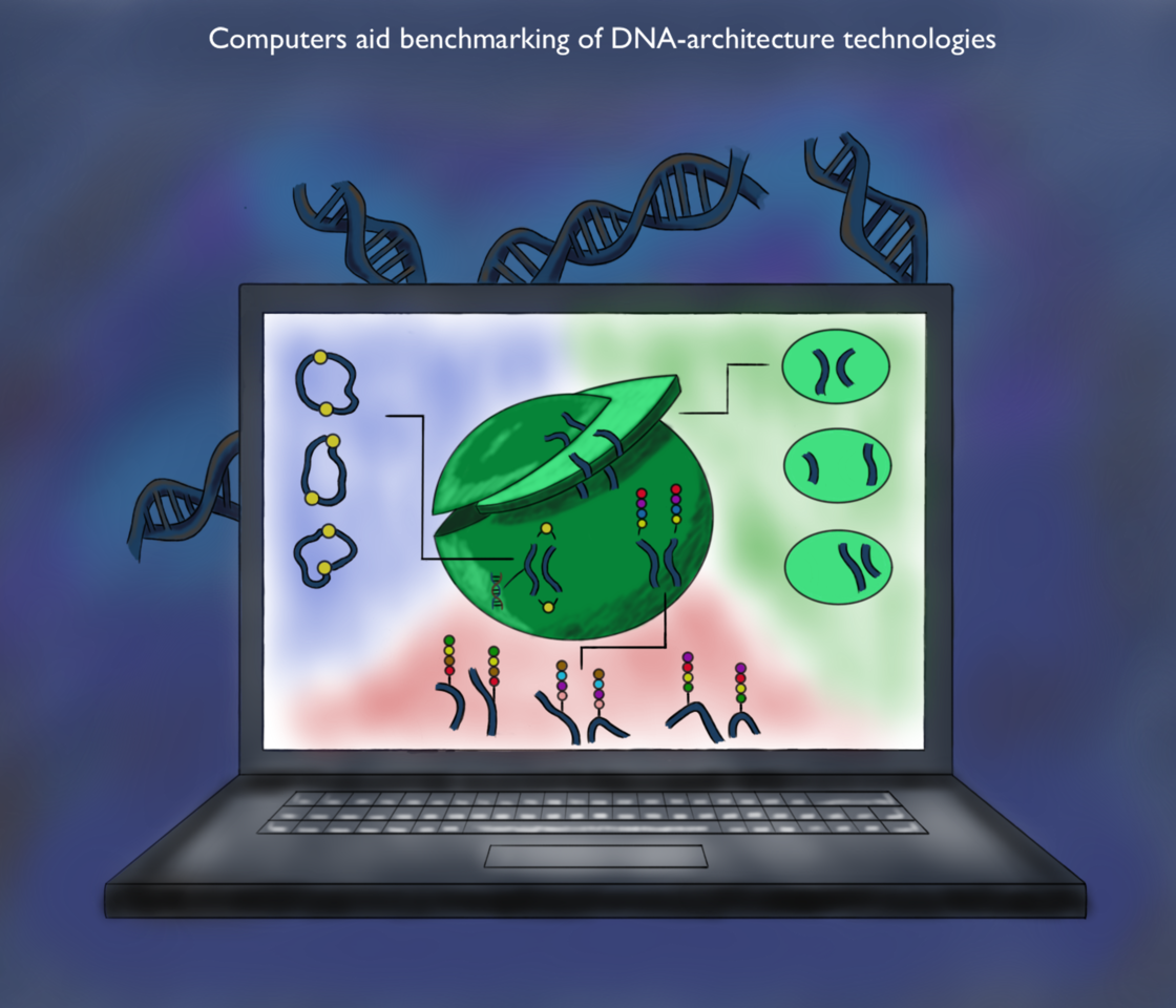 Experiments inside a computer: polymer models to assess the performance of experimental methods for DNA spatial organization. 
