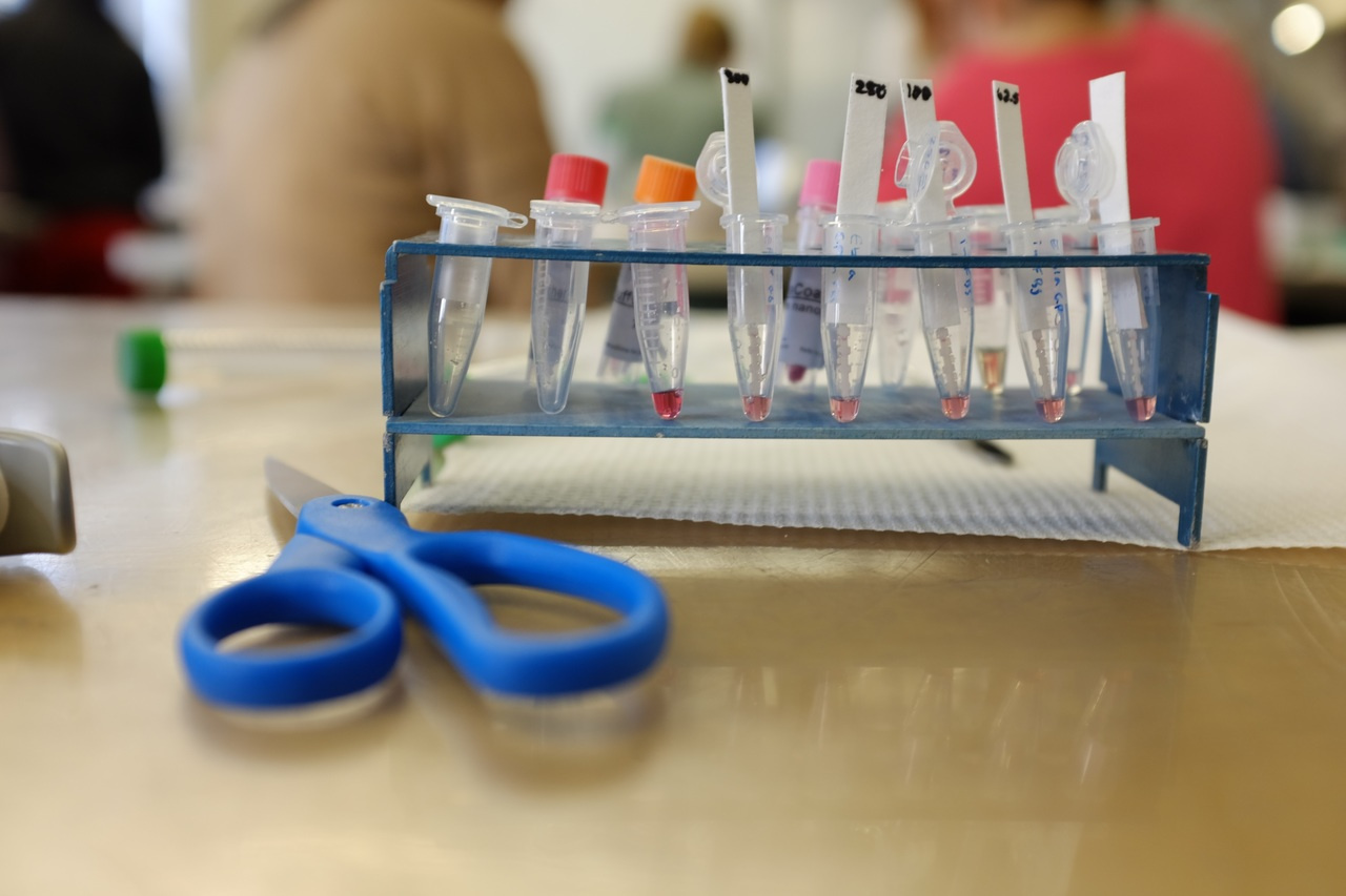 Please hack this nanodiagnostic