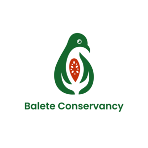 Go to the profile of Ivan Sarenas