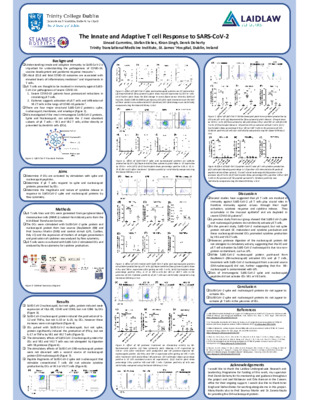 Research Poster Summer 2021