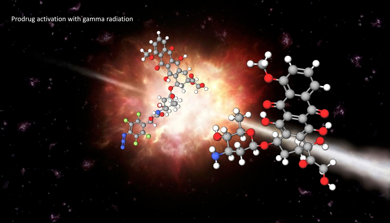 New therapeutic strategy for precise cancer treatment － 
prodrug activation using radiotherapy
