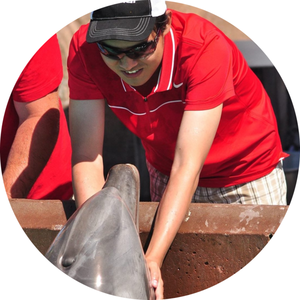 Go to the profile of Nyein Zaw Ko