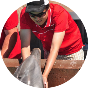 Go to the profile of Nyein Zaw Ko