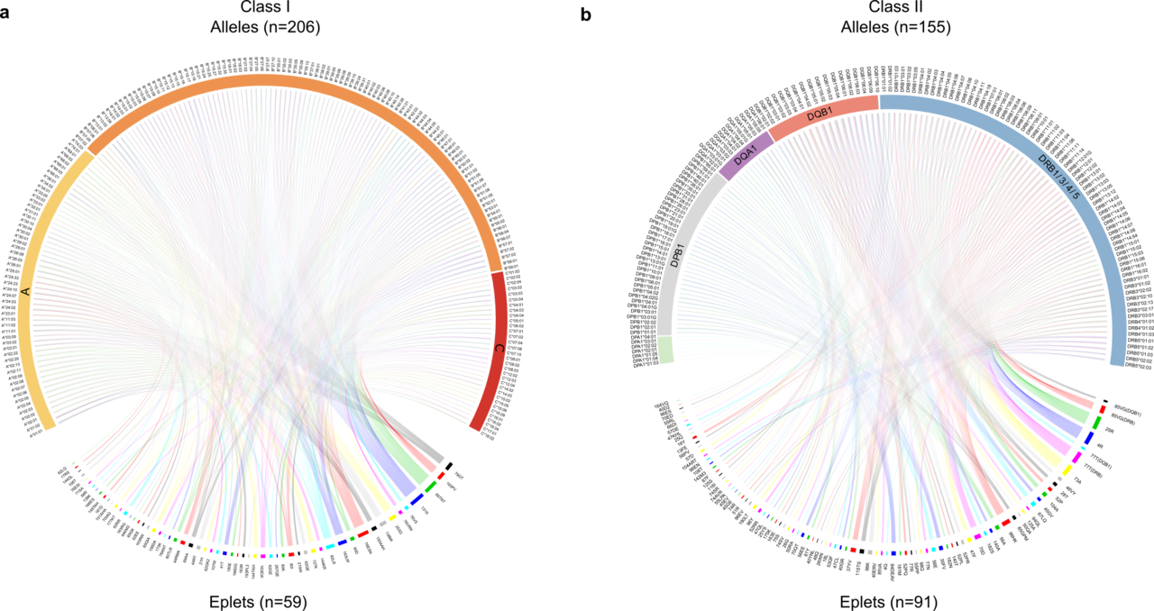 PRECISION MEDICINE IN TRANSPLANTATION AND IMMUNE DISEASES