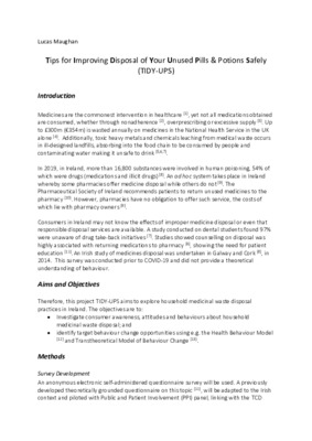 Preliminary Research Project Proposal 