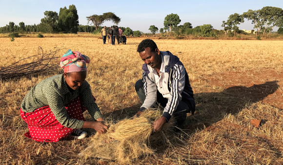 Crop Maps to Help Tackle Hidden Hunger