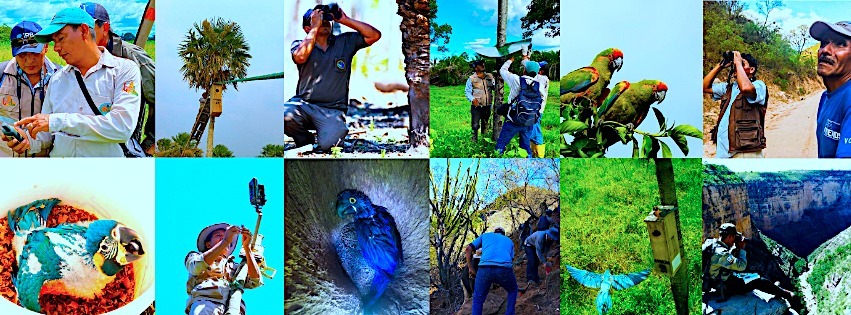 A great pleasure to join the community!