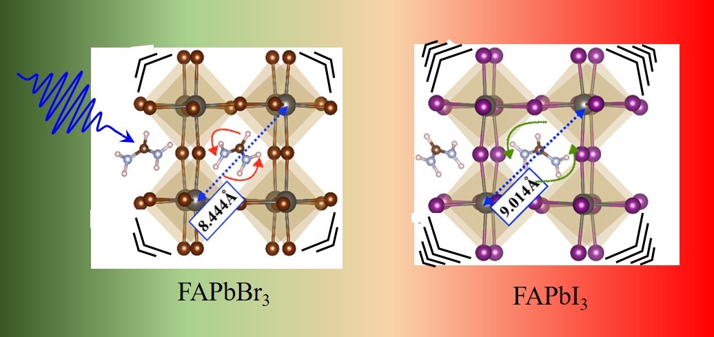 Coherent Vibrational Dynamics Reveals Lattice Anharmonicity in Organic-inorganic Halide Perovskite Nanocrystals