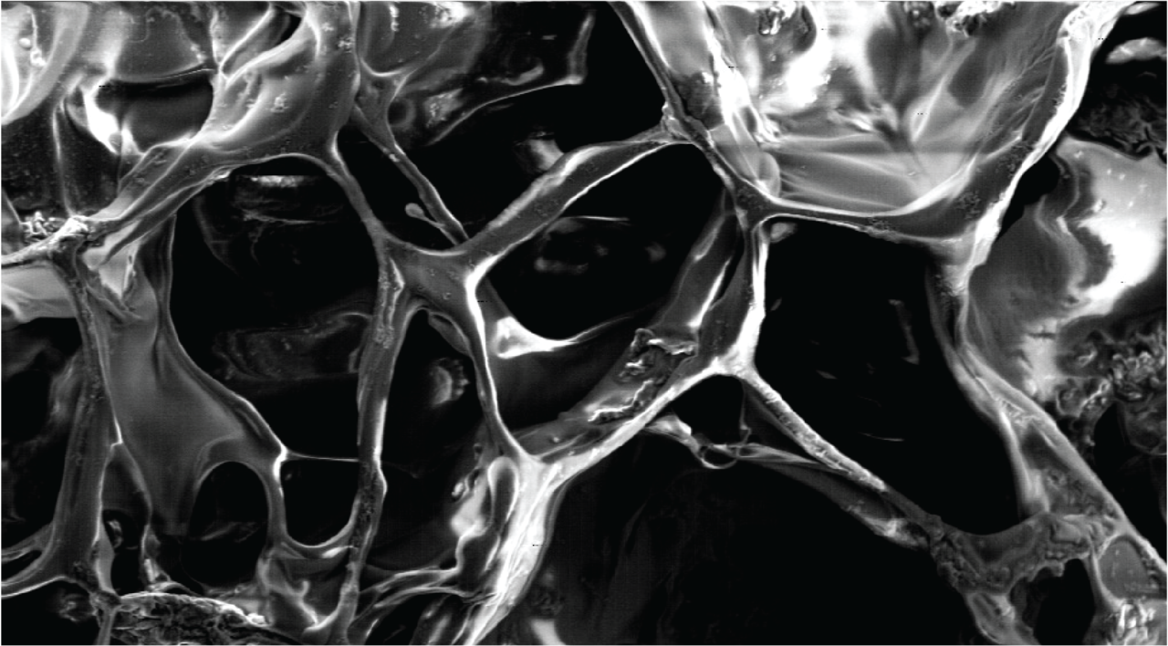 Viscoelastic surface electrode arrays to interface with viscoelastic tissues