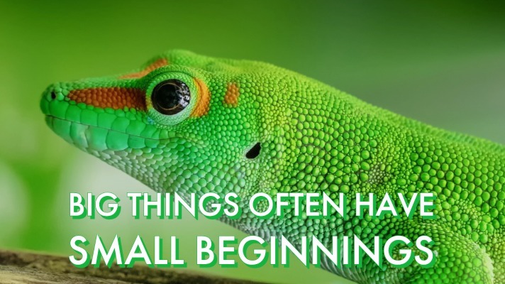 Bouncing Back from the Winter Blues