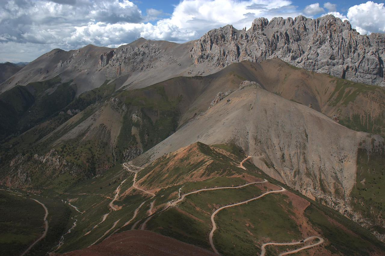 What sedimentary ancient DNA can tell us about past and future plant diversity?