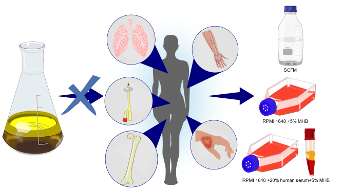Let’s get relevant: Testing antimicrobials in conditions relevant to human infection.