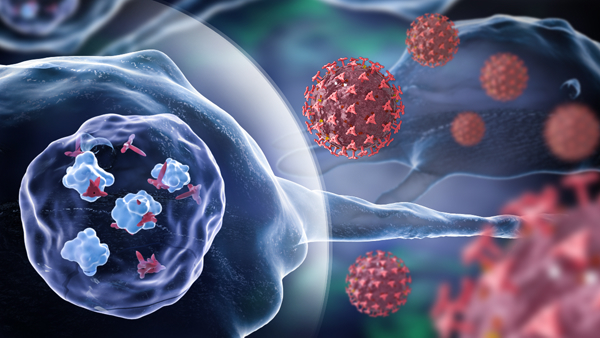 HIV-1 Accessory Protein Mystery Mask: Vpr