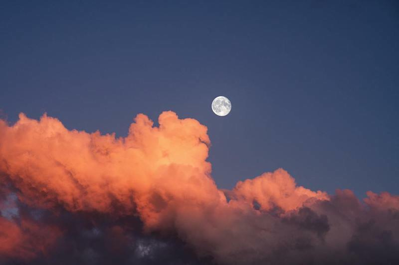 The power of brand communities to build trust and loyalty