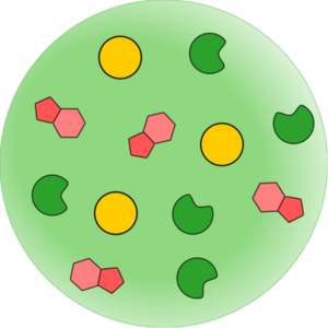 Go to the profile of Karina Nakashima