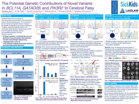 Summer 1 Poster: The Potential Genetic Contributions of Novel Gene Variants to Cerebral Palsy