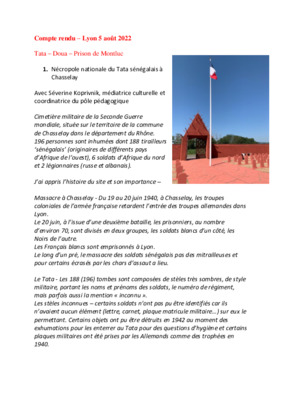 Summary of day trip to Lyon for research 