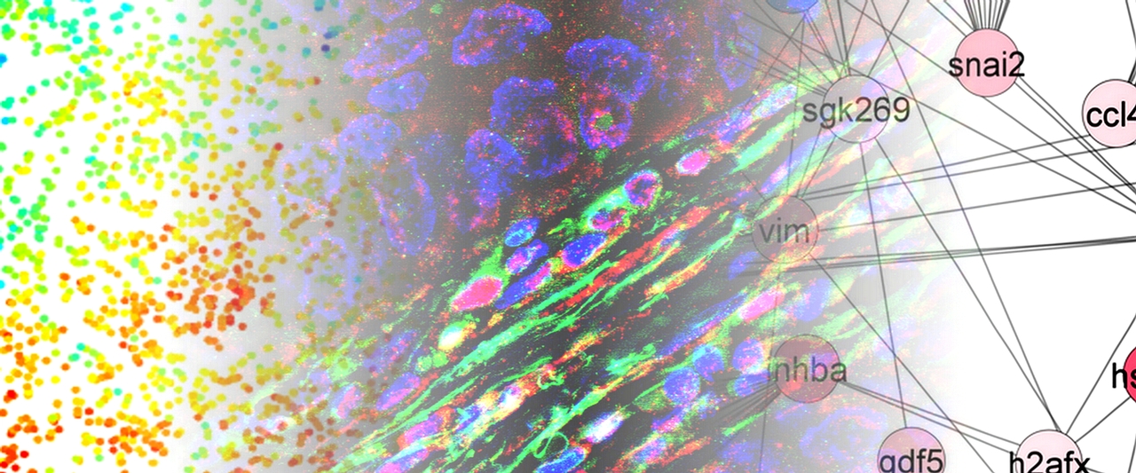 Making Connections To Overcome Targeted Therapy Resistance