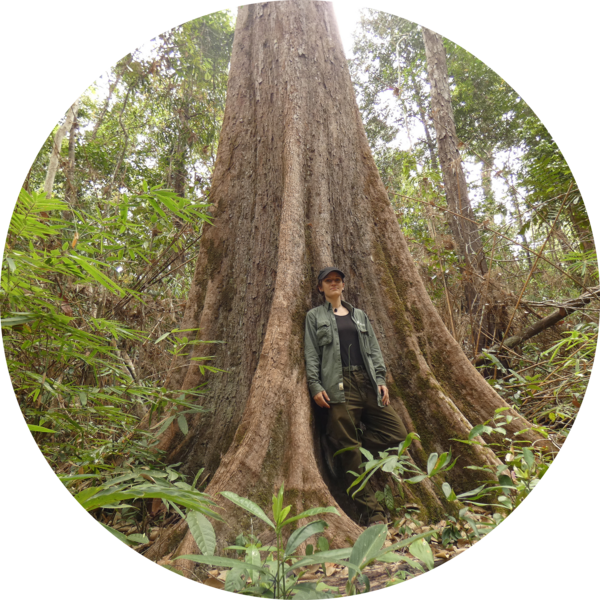 Go to the profile of Maria Chiara Parolin