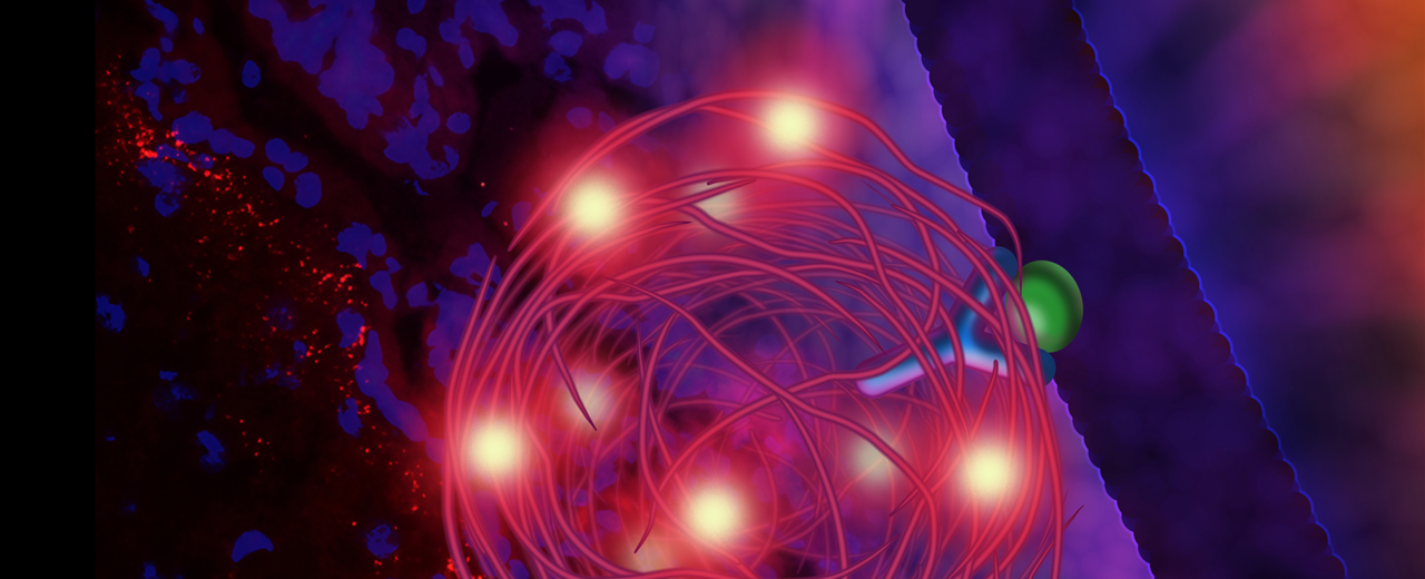 Turbocharging bioassays