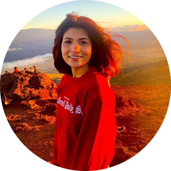 Go to the profile of Kristen DSouza