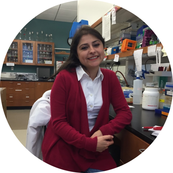 Go to the profile of Miryam Andrea Hortua