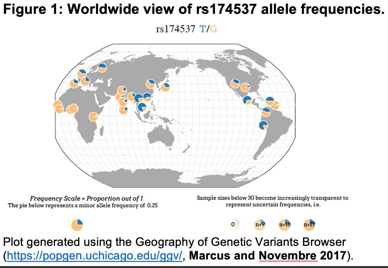Genetic ancestry as a tool for precision nutrition