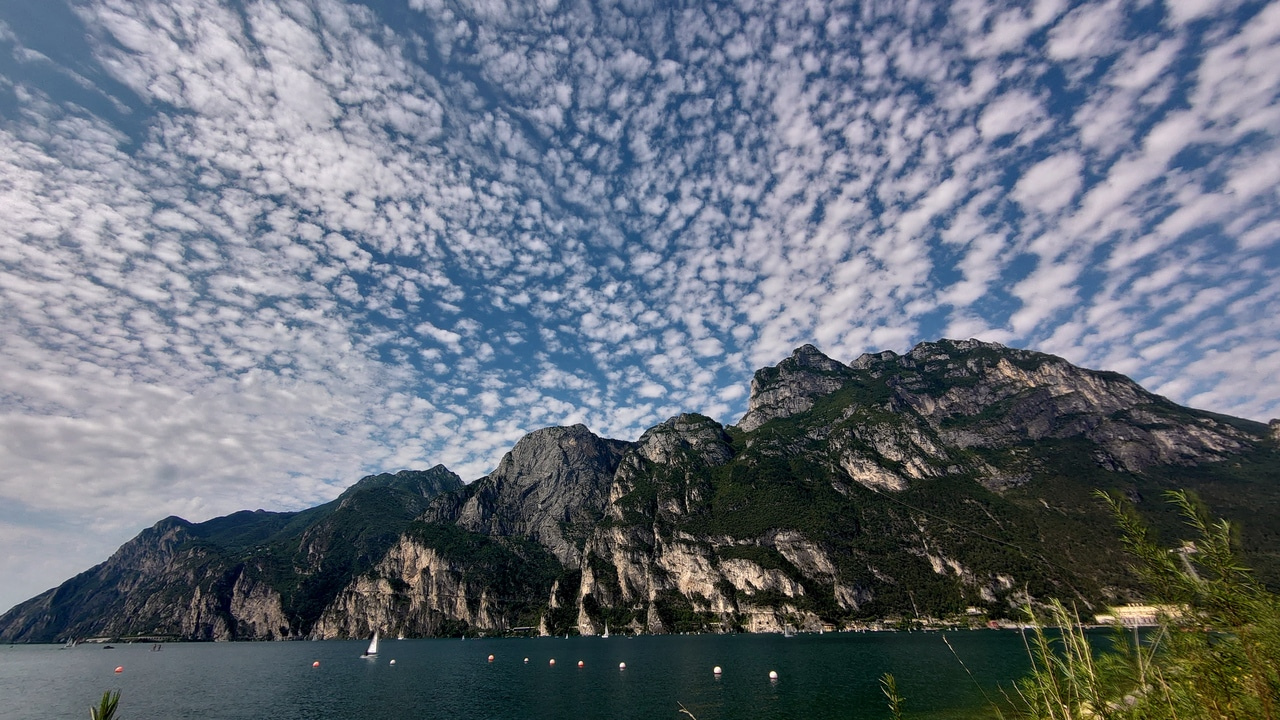 August 2020 newsletter