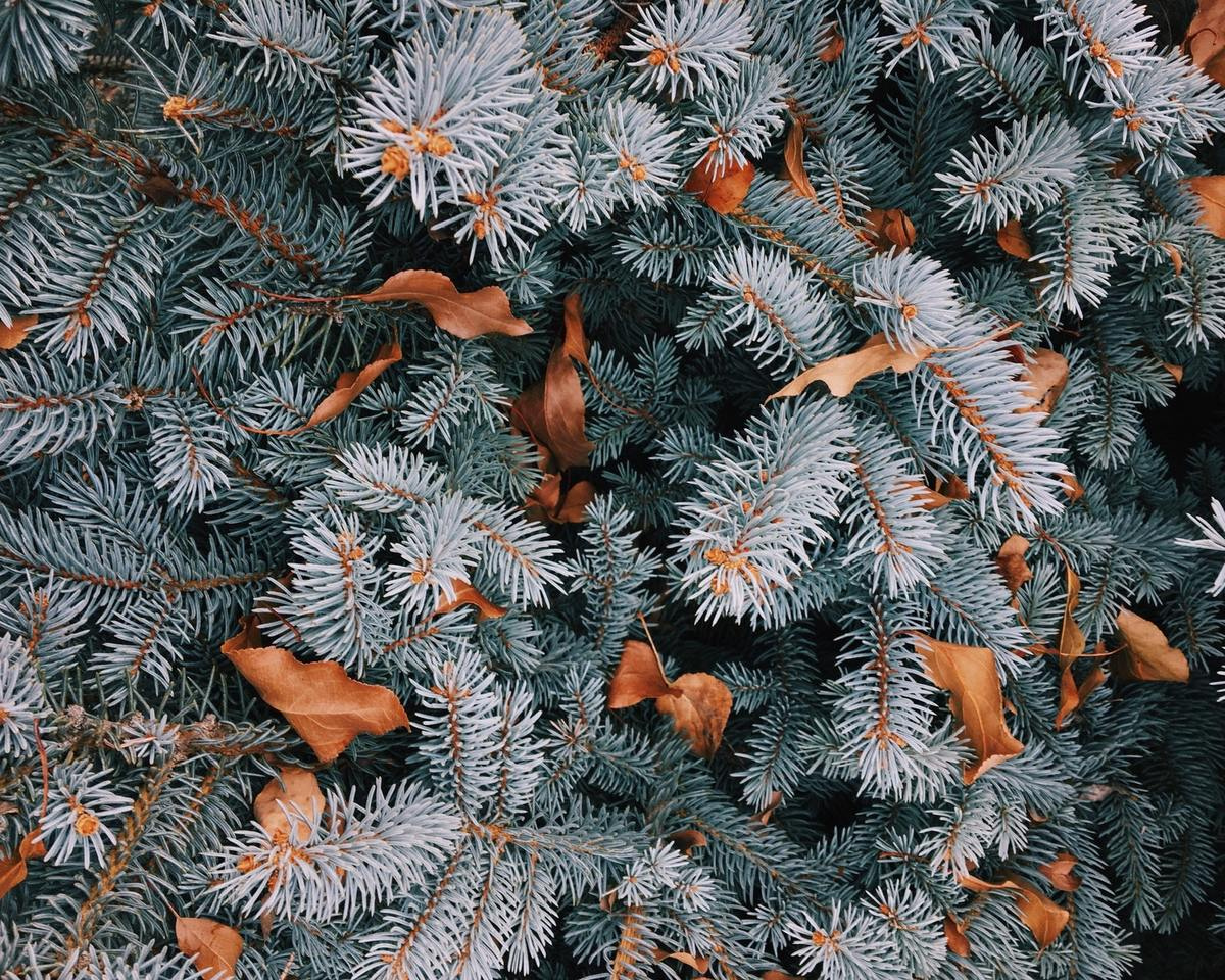 November 2018 Zapnito Newsletter